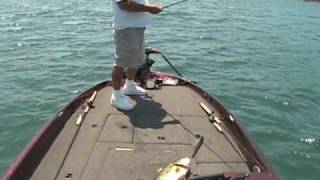 Bass fishing Lunker Punker Swimbait California Bass fishing [upl. by Mcspadden823]