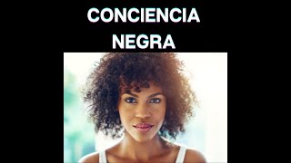 O Dia da Consciência Negra no Brasil  Black Consciousness Day in Brazil [upl. by Ahsila]