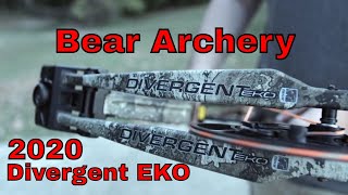 Bear Archery 2020 Divergent EKO First Look Test Review by Mikes Archery [upl. by Aihk]