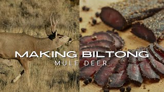 How To Make The BEST quotMule Deerquot BILTONG  South African quotJerkyquot [upl. by Nav508]