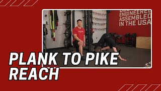 Plank to Pike Reach  Cable Machine Exercise [upl. by Kelsy]