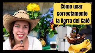 Cómo utilizar correctamente la borra del café para abonar Suculentas y otras plantas [upl. by Aliuqet]