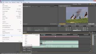 How to Export video from Adobe Premiere Pro CS5 [upl. by Aiahc]