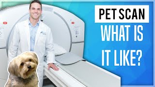 PET Scan What Is It Like [upl. by Timotheus]