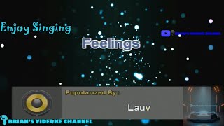 Feelings  Lauv Karaoke [upl. by Accissej257]