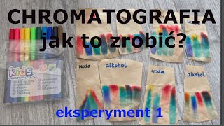 CHROMATOGRAFIA jak ją zrobić metoda rozdzielania mieszanin chemia42 eksperyment1 [upl. by Worden]