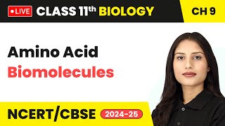 Amino Acid  Biomolecules  Class 11 Biology Chapter 9 live [upl. by Maxama987]