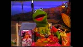 Muppets  Kokomo video [upl. by Essilevi819]