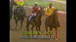 1979 Preakness Stakes  Spectacular Bid [upl. by Eelrebmyk599]