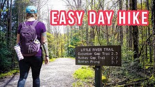 Easy Day Hikes in the Smokies  Little River amp Cucumber Gap Loop  The Avent Cabin [upl. by Sauder691]