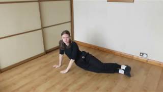 Lee Style Online Tai Chi Class 2 [upl. by Sacul]