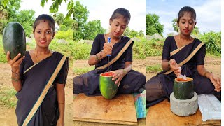 Watermelon Juice Ginger Lemon Fruit Juice Full Video villagemonichannel [upl. by Haissem599]