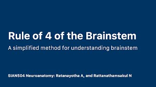 Rule of 4 of the Brainstem [upl. by Nelav]