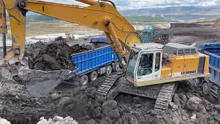 Liebherr 964 Excavator Loading Trucks [upl. by Mcmaster]