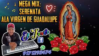 Mix Canciones Ala Virgen De Guadalupe [upl. by Norvin]