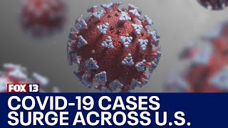 COVID19 infections surging across the country  FOX 13 Seattle [upl. by Ahsener]