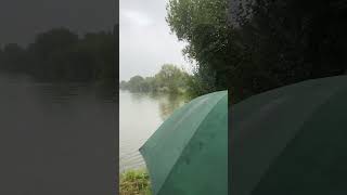 Barston fishing carp Lakes carp fishing [upl. by Dalenna]