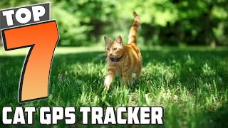 Top 7 Cat GPS Trackers to Keep Your Pet Safe This Year [upl. by Aicilf]