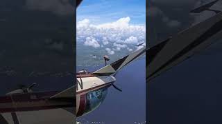 Inverted Spin and Recovery aerobatics airplane training [upl. by Neeroc]