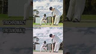 How do those with colour blindness perceive a cricket matchShorts ColourBlind ColorBlind [upl. by Kasper]