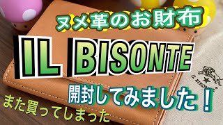 IL BISONTEのお財布開封！！初のヌメ革です！素敵にエイジングできるかなぁ？ [upl. by Atok405]