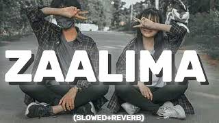 Zaalima Full Audio SlowedReverb Song 🎶 Arijit singh [upl. by Naujal576]