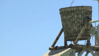 The Tipping Bucket  At Shipwreck Island Waterpark [upl. by Bearce]