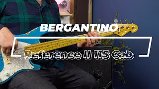 Bergantino Reference II Series 115 Bass Cab Demo with the one and only Marc Vincent StrangerNajjar [upl. by Ruthe305]