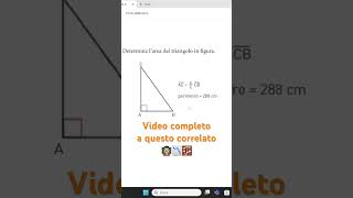 Teorema di Pitagora ed equazione lineare problema di geometria [upl. by Llemar]