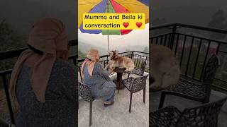 Mumma and Bella ki conversation ♥️huskydog husky babydogs viralshort doglover puppyvideos fun [upl. by Cran]