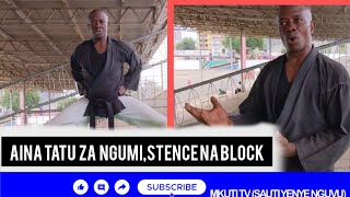 JIFUNZE KARETI KARATE AINA TATU ZA NGUMI STENCE NA JINSI YA KUZUIA [upl. by Akihsay396]