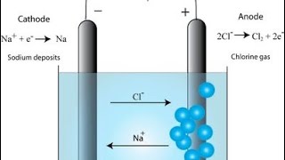 Electrolysis of molten sodium chloride  exam question [upl. by Ailliw466]