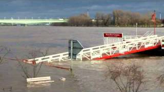 Hochwasser Köln 08012011 [upl. by Nilats]