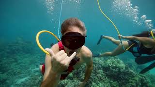 Experience the Magic of Kealakekua Bay with Fair Wind Cruises [upl. by Bryon684]