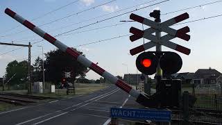 Spoorwegovergang Wijhe  Dutch Railroad Crossing [upl. by Alletnahs]