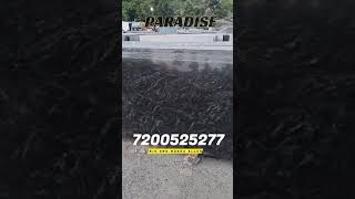 Paradise  Krishnagiri Granite  Krishnagiri production krishnagiri granite wholesale nigmart [upl. by Shields]