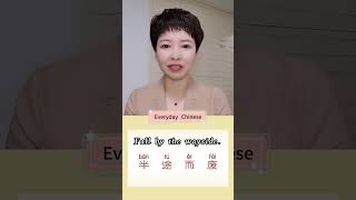 Learn Chinese Language learnchinese chinese china chineselanguage mandarin mandarinchinese [upl. by Sewoll]