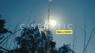 Nikon D5600 DSLR Cinematic Video Test [upl. by Mannie]