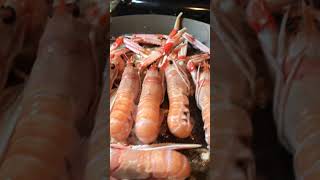 Searing Langoustine langoustine howtocooklangoustines [upl. by Ahsienel]