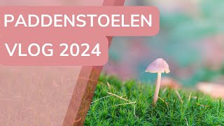 Fotografie vlog 56  Paddenstoelen vlog 2024 Een TRADITIE  Paddenstoelen fotografie [upl. by Irving931]