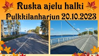 Ruska ajelu Päijänne näkymin Pulkkilanharjulla [upl. by Noiwtna]