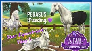 Star Equestrian Vlog 5 Pegasus Breeding Update MariGold Reveal Treasure Map hunting [upl. by Berck]