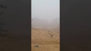 Mausa sukhram pura mein bahut hi samuh hai mausam bahut hi kharab ho raha ha [upl. by Aizat952]