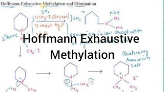 Hoffmann Exhaustive methylation and Elimination I Amines I Particles Academy [upl. by Purington]