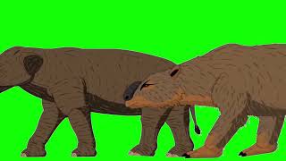 Cenozoic Beasts Walking Green Screen for Sticknodespro6522 ​ [upl. by Broeker]