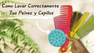 COMO LAVAR LOS PEINES CEPILLOS DE FORMA CORRECTA Tutorial ✨ [upl. by Idnic]