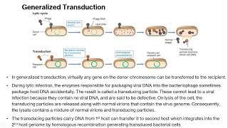 Transduction A Powerful Gene Transfer Method [upl. by Agiaf]