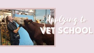 Getting in to Vet School  9 Essential Steps to Get In [upl. by Aedrahs]