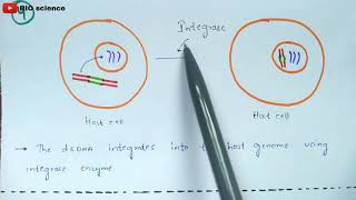 Retrovirus mediated Gene transfer  RMGT  procedure  Bio science [upl. by Ja800]