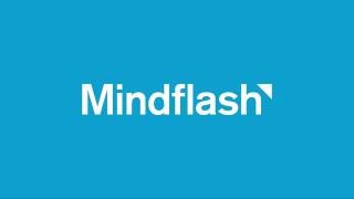 Mindflash 30 second overview [upl. by Schmitz]